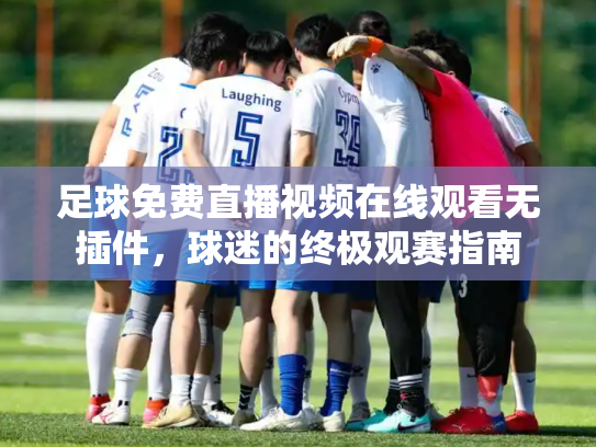 足球免费直播视频在线观看无插件，球迷的终极观赛指南
