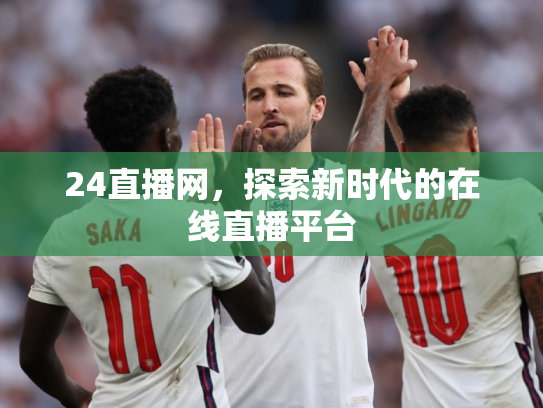 24直播网，探索新时代的在线直播平台