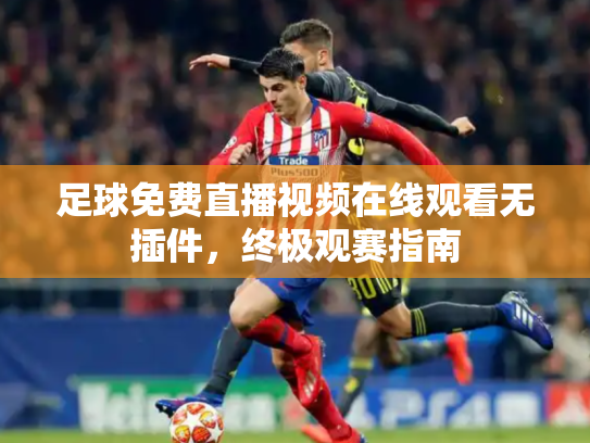 足球免费直播视频在线观看无插件，终极观赛指南