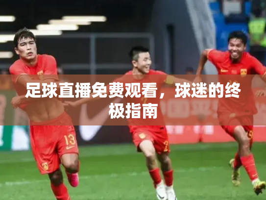 足球直播免费观看，球迷的终极指南