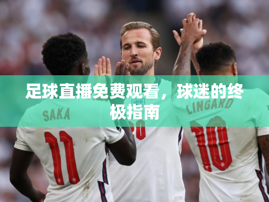 足球直播免费观看，球迷的终极指南