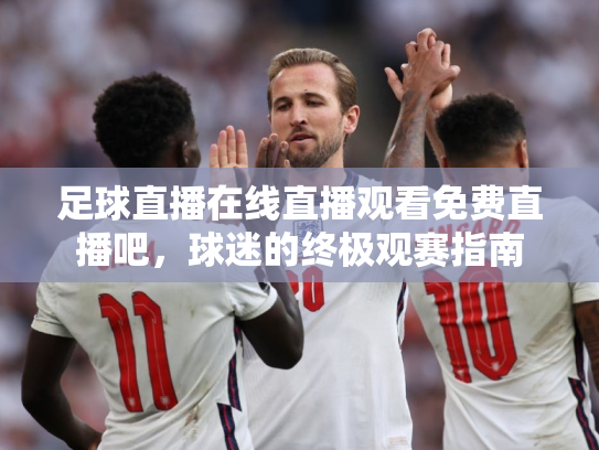 足球直播在线直播观看免费直播吧，球迷的终极观赛指南