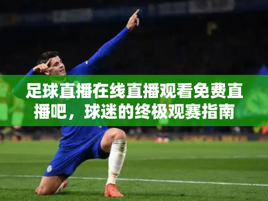 足球直播在线直播观看免费直播吧，球迷的终极观赛指南