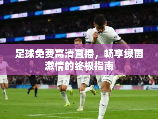 足球免费高清直播，畅享绿茵激情的终极指南