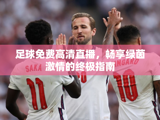 足球免费高清直播，畅享绿茵激情的终极指南