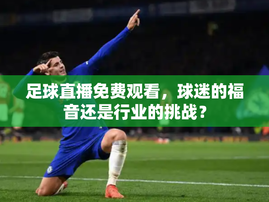 足球直播免费观看，球迷的福音还是行业的挑战？