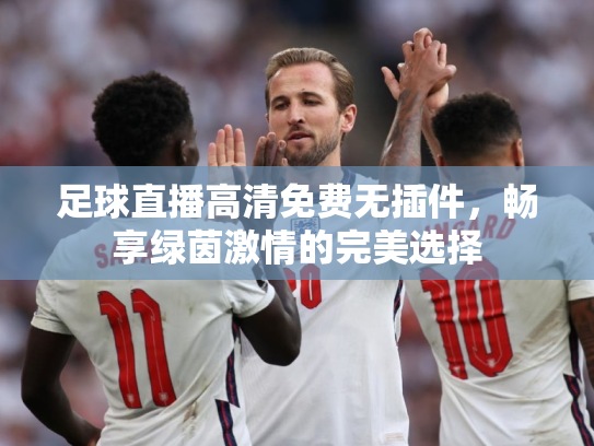 足球直播高清免费无插件，畅享绿茵激情的完美选择