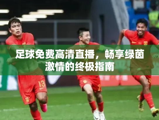 足球免费高清直播，畅享绿茵激情的终极指南