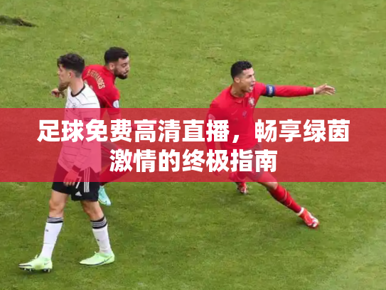足球免费高清直播，畅享绿茵激情的终极指南