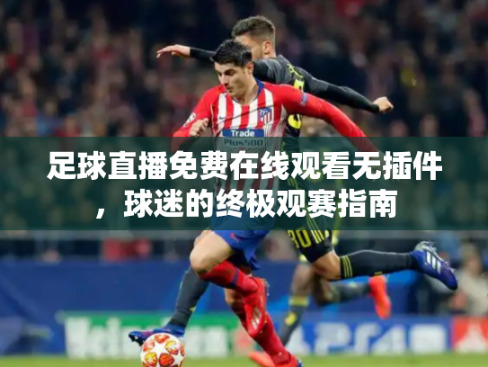 足球直播免费在线观看无插件，球迷的终极观赛指南