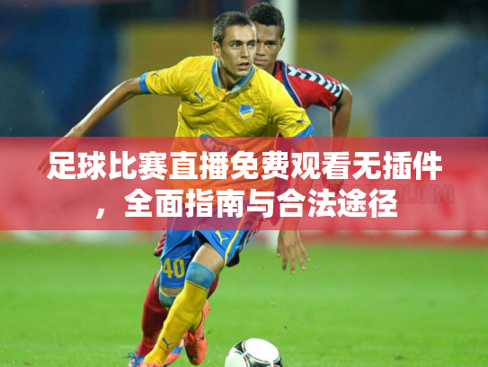 足球比赛直播免费观看无插件，全面指南与合法途径