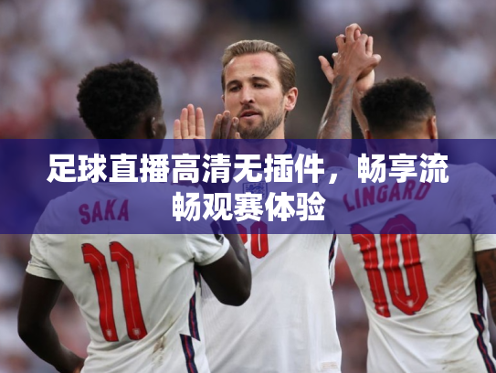 足球直播高清无插件，畅享流畅观赛体验