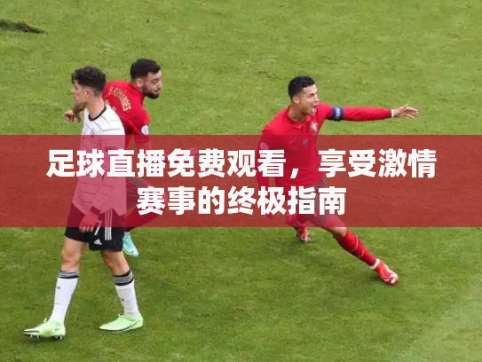 足球直播免费观看，享受激情赛事的终极指南