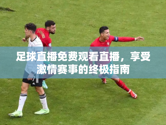 足球直播免费观看直播，享受激情赛事的终极指南