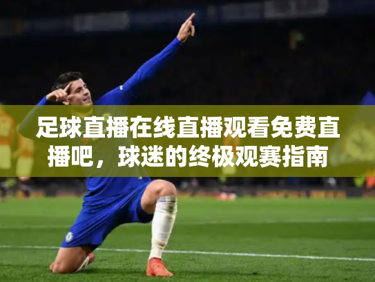 足球直播在线直播观看免费直播吧，球迷的终极观赛指南