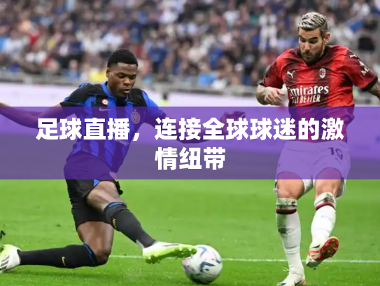 足球直播，连接全球球迷的激情纽带