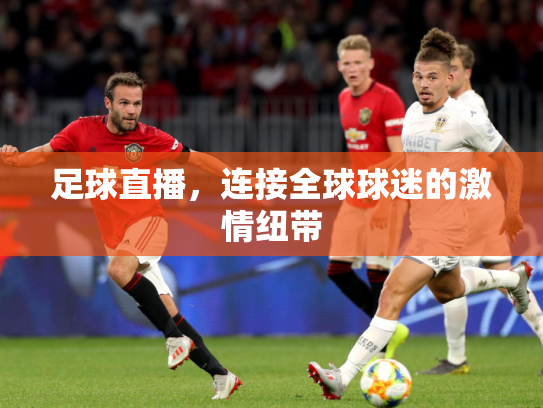 足球直播，连接全球球迷的激情纽带