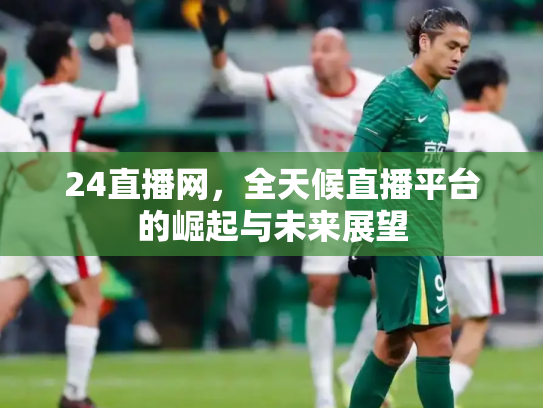 24直播网，全天候直播平台的崛起与未来展望