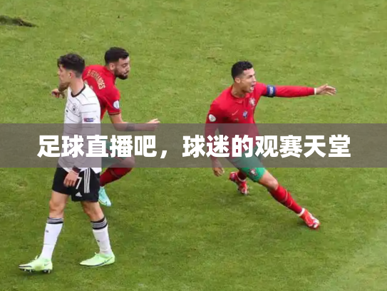 足球直播吧，球迷的观赛天堂