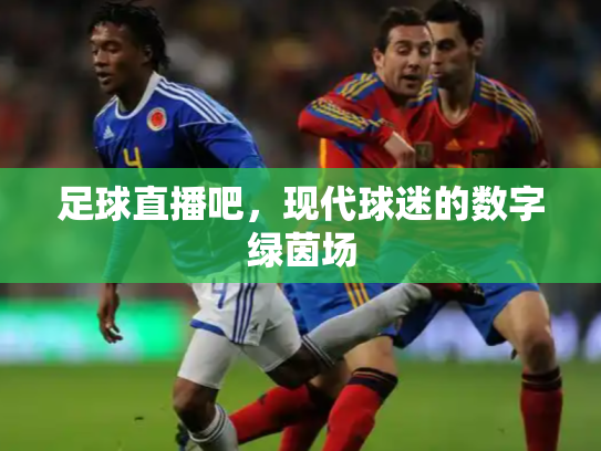 足球直播吧，现代球迷的数字绿茵场