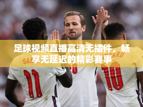 足球视频直播高清无插件，畅享无延迟的精彩赛事