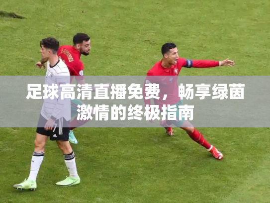 足球高清直播免费，畅享绿茵激情的终极指南