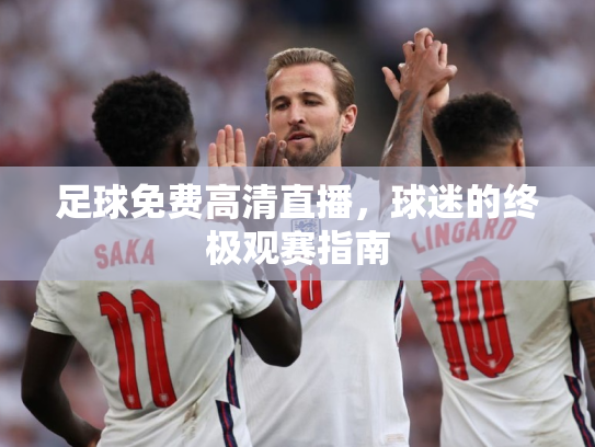 足球免费高清直播，球迷的终极观赛指南