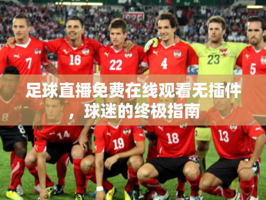 足球直播免费在线观看无插件，球迷的终极指南
