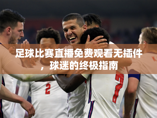 足球比赛直播免费观看无插件，球迷的终极指南
