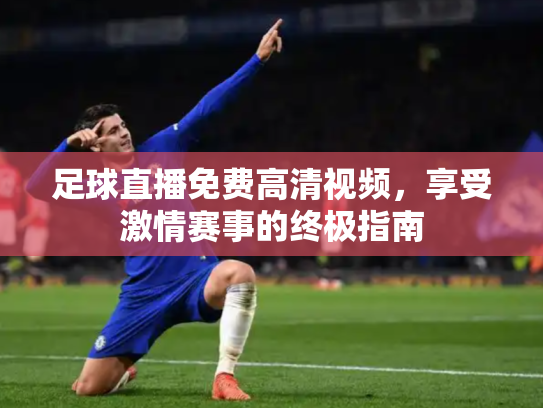 足球直播免费高清视频，享受激情赛事的终极指南