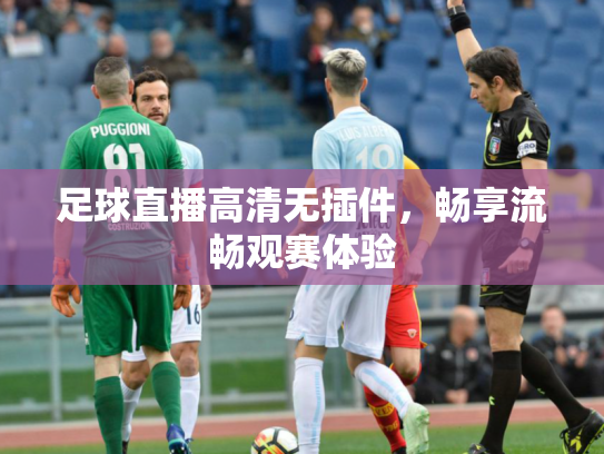 足球直播高清无插件，畅享流畅观赛体验