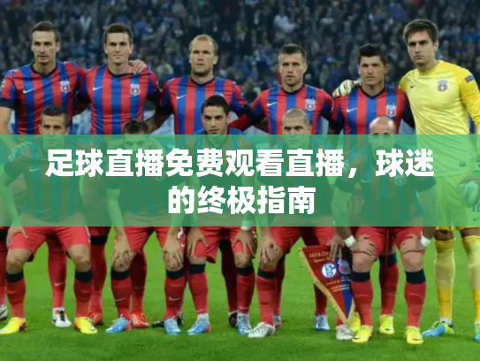 足球直播免费观看直播，球迷的终极指南