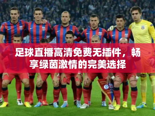足球直播高清免费无插件，畅享绿茵激情的完美选择