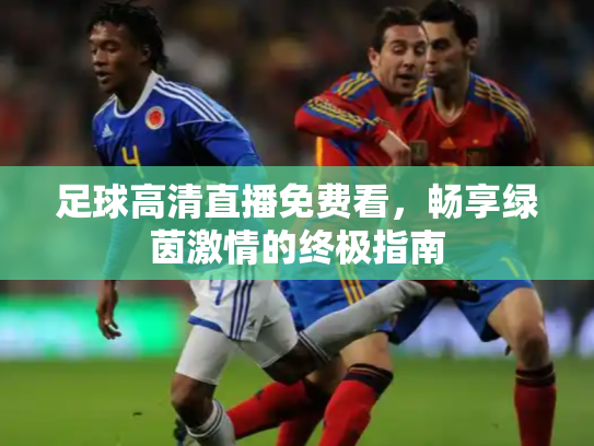 足球高清直播免费看，畅享绿茵激情的终极指南
