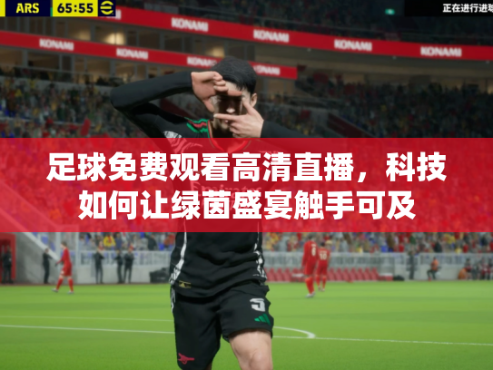 足球免费观看高清直播，科技如何让绿茵盛宴触手可及