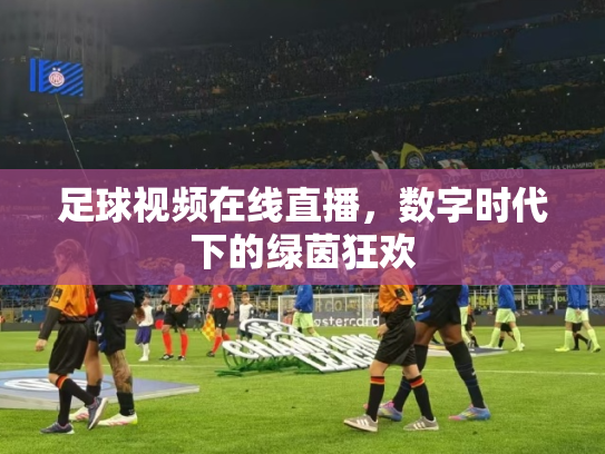 足球视频在线直播，数字时代下的绿茵狂欢