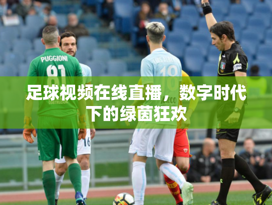 足球视频在线直播，数字时代下的绿茵狂欢