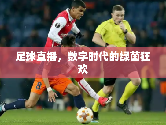 足球直播，数字时代的绿茵狂欢