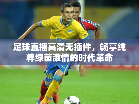 足球直播高清无插件，畅享纯粹绿茵激情的时代革命