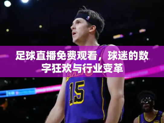 足球直播免费观看，球迷的数字狂欢与行业变革