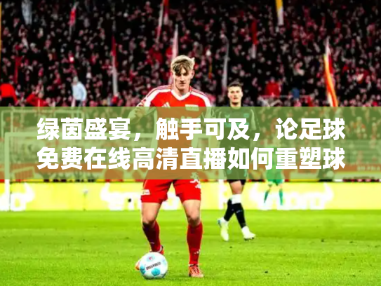 绿茵盛宴，触手可及，论足球免费在线高清直播如何重塑球迷文化