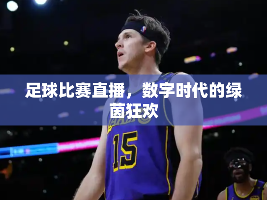足球比赛直播，数字时代的绿茵狂欢