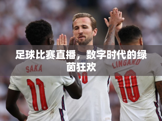 足球比赛直播，数字时代的绿茵狂欢