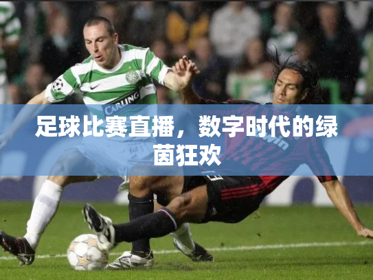 足球比赛直播，数字时代的绿茵狂欢