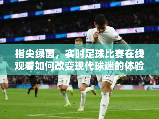 指尖绿茵，实时足球比赛在线观看如何改变现代球迷的体验