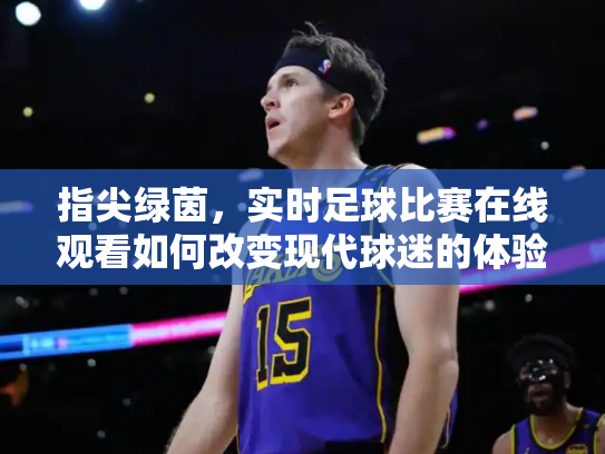 指尖绿茵，实时足球比赛在线观看如何改变现代球迷的体验