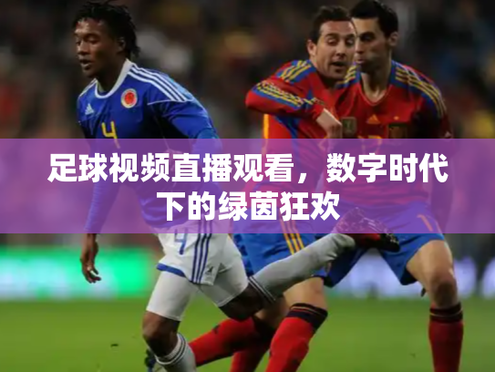 足球视频直播观看，数字时代下的绿茵狂欢