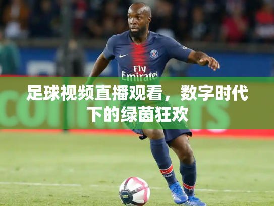 足球视频直播观看，数字时代下的绿茵狂欢