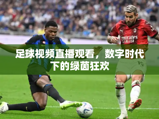 足球视频直播观看，数字时代下的绿茵狂欢