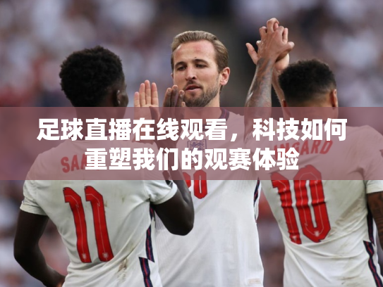 足球直播在线观看，科技如何重塑我们的观赛体验